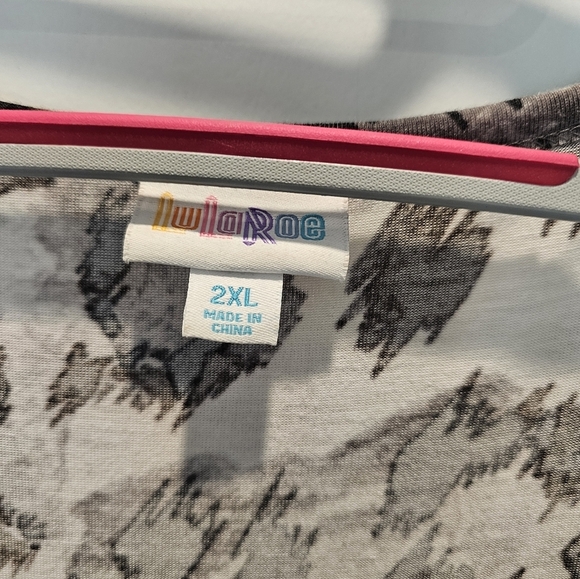 LulaRoe Animal Print Dress Bold Animal Print Slip On 2 XL - Picture 3 of 10